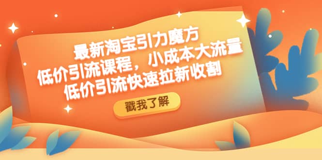 最新淘宝引力魔方低价引流实操：小成本大流量-零点科技