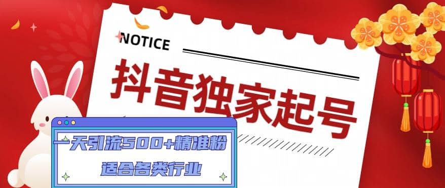 抖音独家起号，适合各类行业（9节视频课）-零点科技