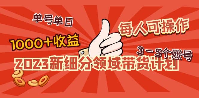 2023新细分领域带货计划：单号单日1000+收益不难，每人可操作3-5个账号-零点科技