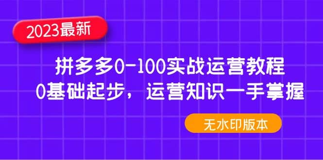 2023拼多多0-100实战运营教程，0基础起步，运营知识一手掌握（无水印）-零点科技