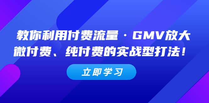 教你利用付费流量·GMV放大，微付费、纯付费的实战型打法-零点科技
