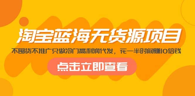 淘宝蓝海无货源项目，不囤货不推广只做冷门高利润代发-零点科技