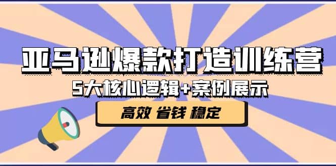 亚马逊爆款打造训练营：5大核心逻辑+案例展示 打造爆款链接 高效 省钱 稳定-零点科技