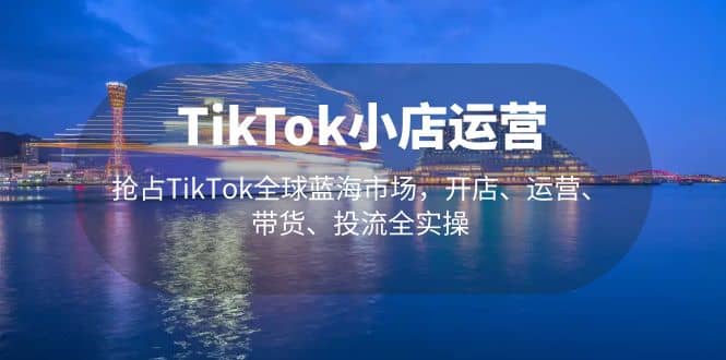 TikTok小店运营 抢占TikTok全球蓝海市场，开店、运营、带货、投流全实操-零点科技