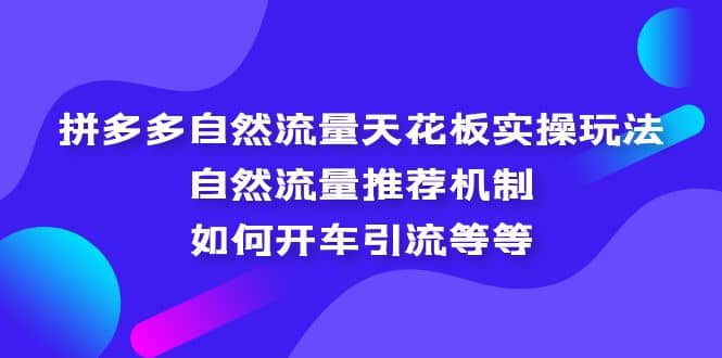 拼多多自然流量天花板实操玩法：自然流量推荐机制，如何开车引流等等-零点科技