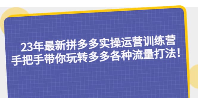 23年最新拼多多实操运营训练营：手把手带你玩转多多各种流量打法！-零点科技
