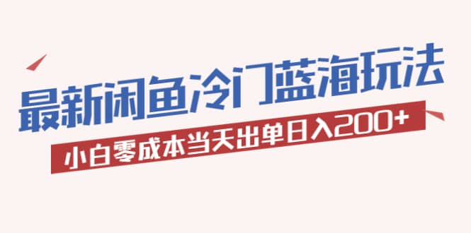 2023最新闲鱼冷门蓝海玩法，小白零成本当天出单日入200+-零点科技
