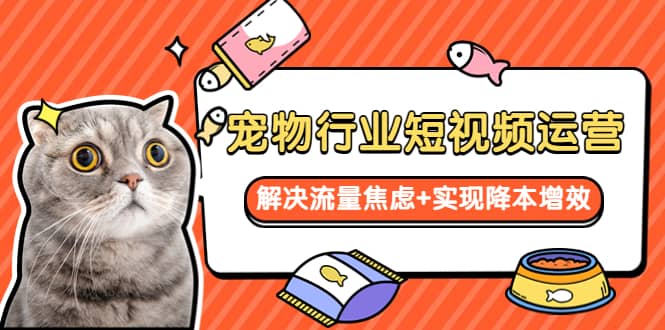 宠物/行业短视频运营 流量增长的一层窗户纸 解决流量焦虑+实现降本增效-零点科技