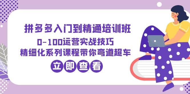 2023拼多多入门到精通培训班：0-100运营实战技巧 精细化系列课带你弯道超车-零点科技