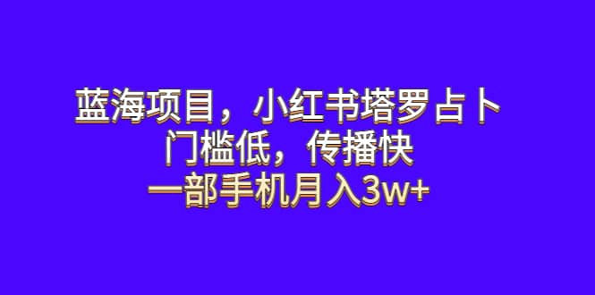 蓝海项目，小红书塔罗占卜，门槛低，传播快，一部手机月入3w+-零点科技