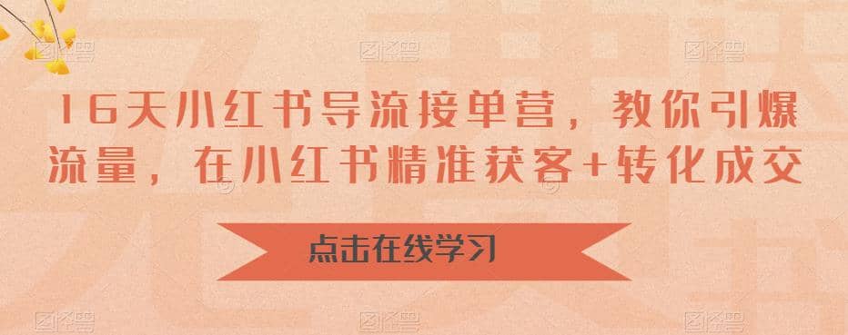 16天-小红书 导流接单营，教你引爆流量，在小红书精准获客+转化成交-零点科技