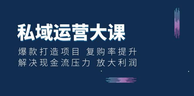 私域运营大课：爆款打造项目 复购率提升 解决现金流压力 放大利润-零点科技