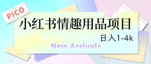 最新小红书情趣用品项目，日入1-4k-零点科技