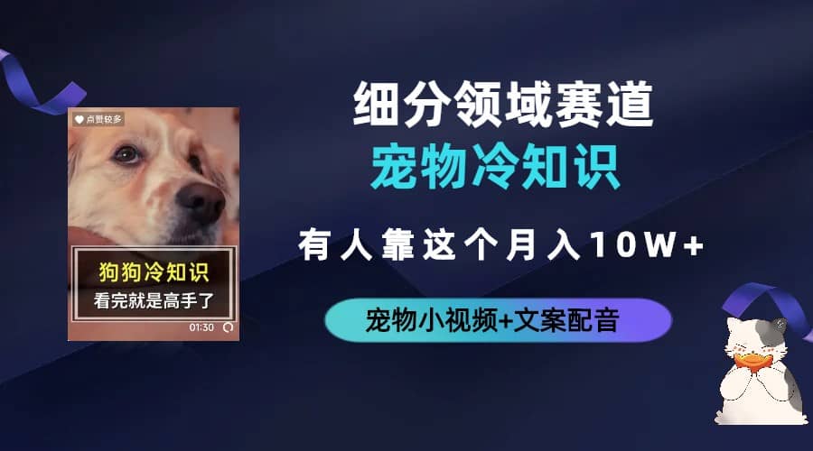 不起眼的抖音细分赛道-宠物冷知识，一段宠物视频配文案，有人靠这个月入10w-零点科技