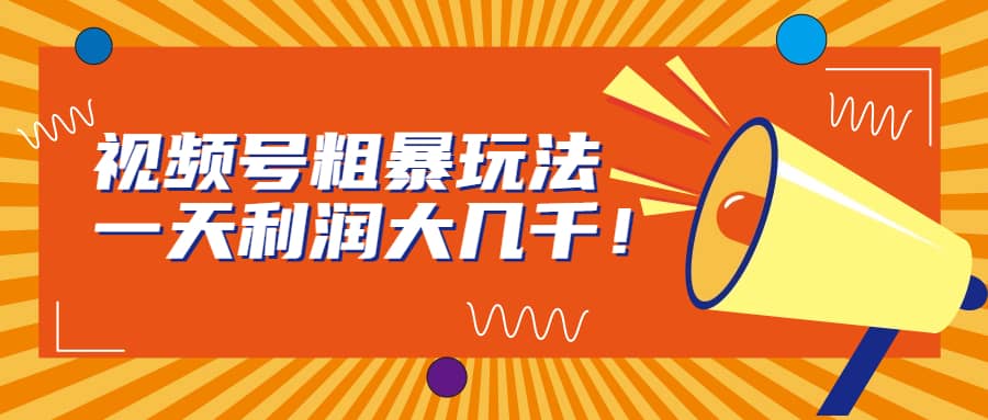 视频号粗暴玩法，一天利润大几千-零点科技