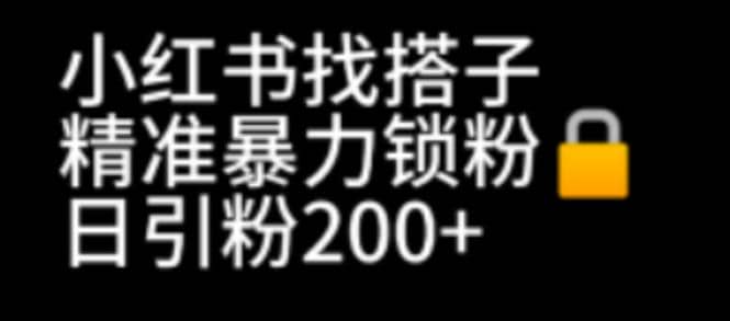 小红书找搭子暴力精准锁粉+引流日引200+精准粉-零点科技
