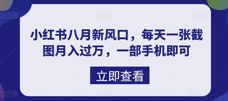 八月新风口，小红书虚拟项目一天收入1000+，实战揭秘-零点科技