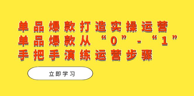 单品爆款打造实操运营，单品爆款从“0”-“1”手把手演练运营步骤-零点科技