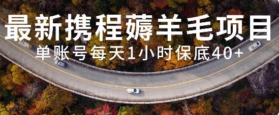 最新携程薅羊毛项目，单账号每天1小时保底收益40+，可矩阵操作-零点科技