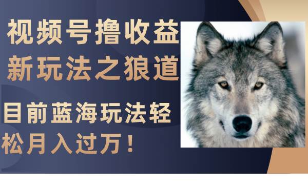 视频号撸收益新玩法之狼道，目前蓝海玩法轻松月入过万！-零点科技