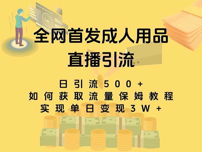 最新全网独创首发，成人用品直播引流获客暴力玩法，单日变现3w保姆级教程-零点科技