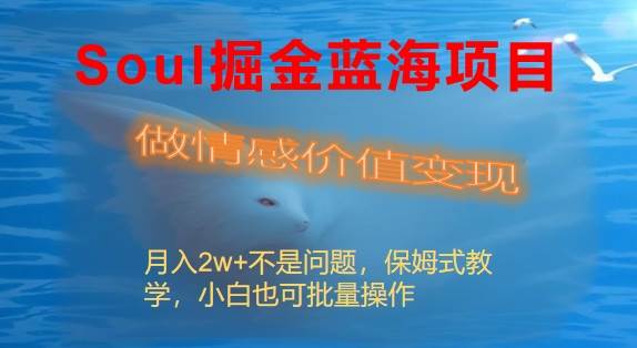 Soul掘金蓝海项目细分赛道，做情感价值变现，月入2w+不是问题-零点科技