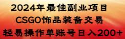 2024年最佳副业项目 CSGO饰品装备交易 轻易操作单账号日入200+-零点科技