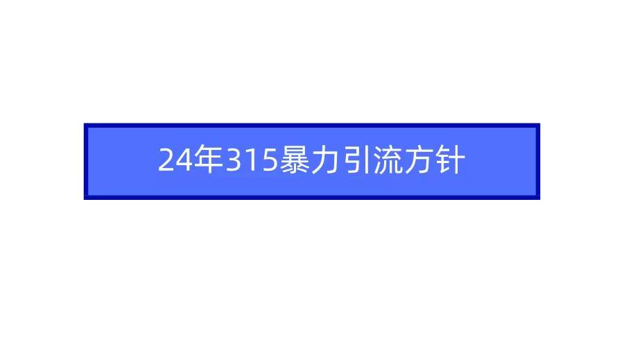 2024年315暴力引流方针-零点科技