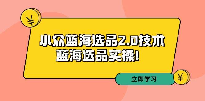 拼多多培训第33期：小众蓝海选品2.0技术-蓝海选品实操！-零点科技