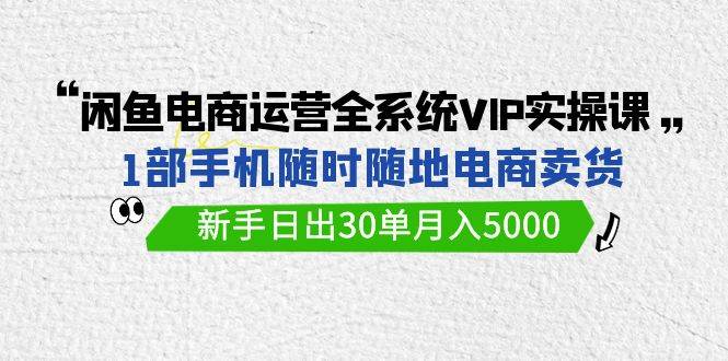 闲鱼电商运营全系统VIP实战课，1部手机随时随地卖货，新手日出30单月入5000-零点科技