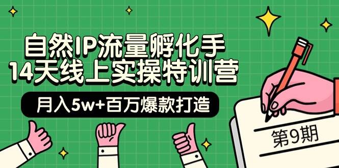 自然IP流量孵化手 14天线上实操特训营【第9期】月入5w+百万爆款打造 (74节)-零点科技