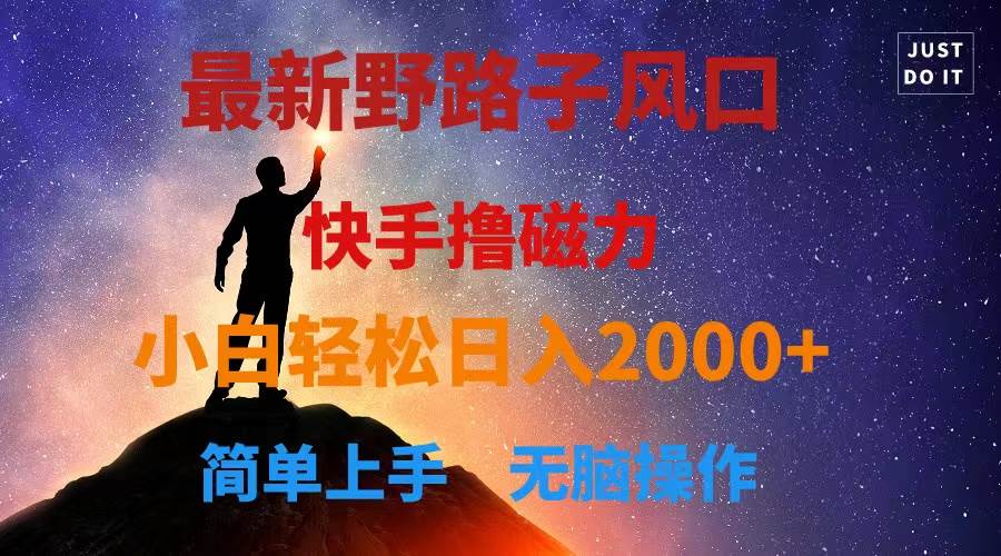 最新风口！快手撸磁力，野路子，小白无脑操作日入2000+-零点科技
