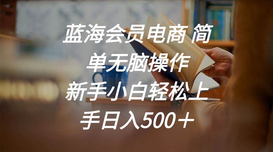 蓝海会员电商 简单无脑操作 新手小白轻松上手日入500＋-零点科技