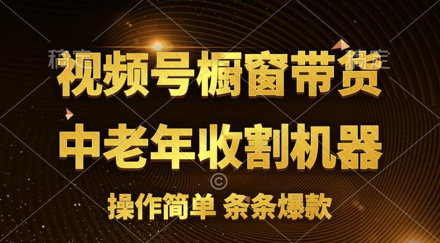 [你的孩子成功取得高位]视频号最火爆赛道，橱窗带货，流量分成计划，条…-零点科技
