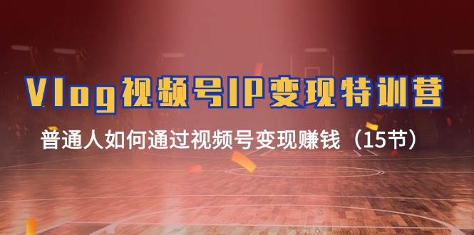 Vlog 视频号IP变现特训营，普通人如何通过视频号变现赚钱（15节）-零点科技