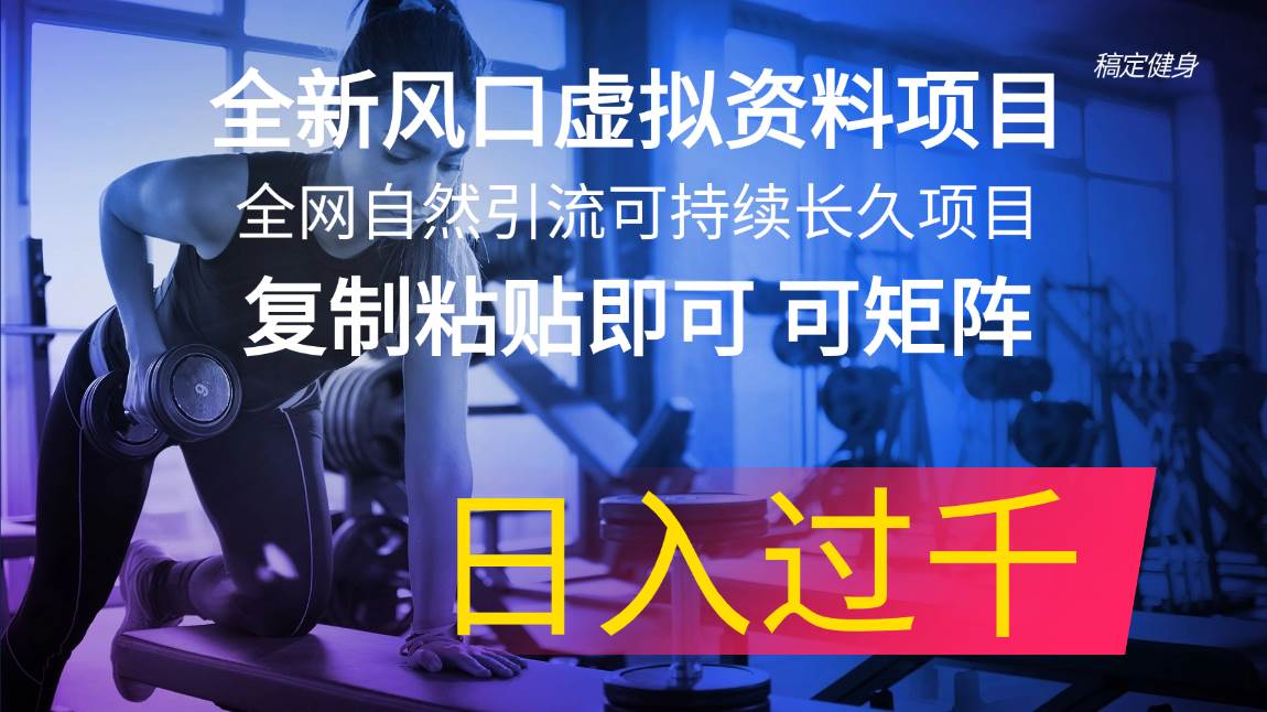 全新风口虚拟资料项目 全网自然引流可持续长久项目 复制粘贴即可可矩阵…-零点科技