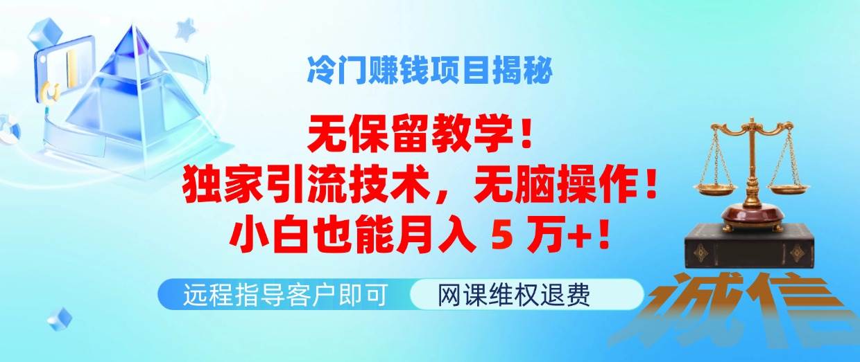 冷门赚钱项目无保留教学！独家引流技术，无脑操作！小白也能月入5万+！-零点科技