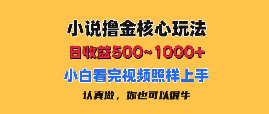 小说撸金核心玩法，日收益500-1000+，小白看完照样上手，0成本有手就行-零点科技