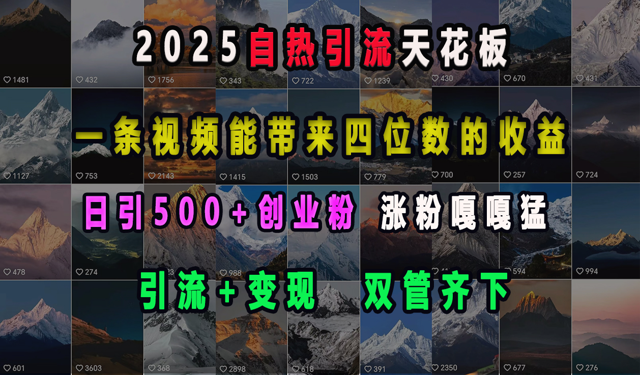 2025自热引流天花板，一条视频能带来四位数的收益，引流+变现双管齐下，日引500+创业粉，涨粉嘎嘎猛-零点科技