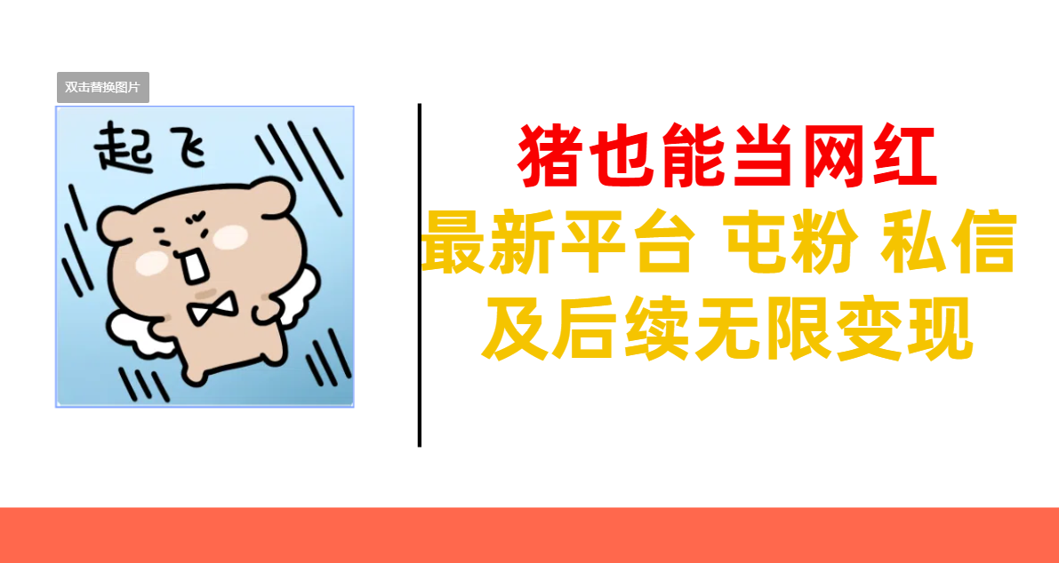 猪也能当网红-最新平台 屯粉 交流 私信 及后续无限变现-零点科技