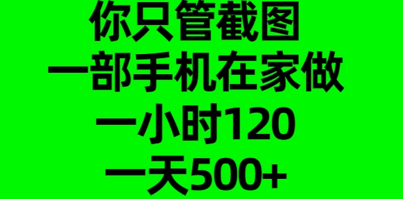 你只管截图，一部手机在家做，一小时120，一天500+-零点科技