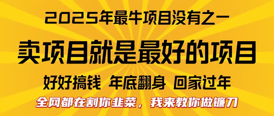 全网都在割你韭菜，我来教你做镰刀。卖项目就是最好的项目，2025年最牛互联网项目-零点科技