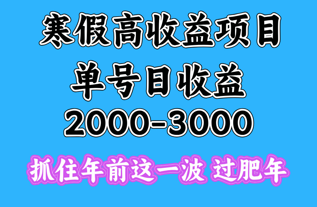寒假期间一天收益2000-3000+，抓住年前这一波-零点科技