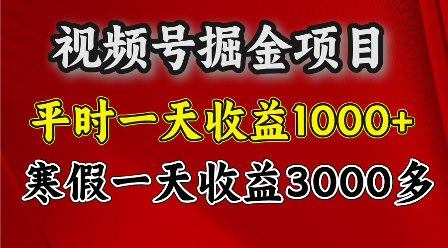 视频号掘金项目，寒假一天收益3000多-零点科技