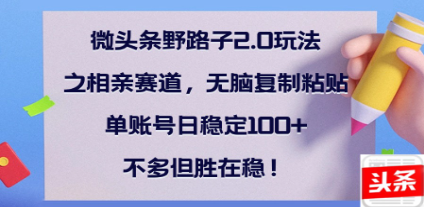 全网首发微头条野路子2.0玩法之相亲赛道，无脑搬砖复制粘贴，单账号日稳定300+保姆级教程-零点科技