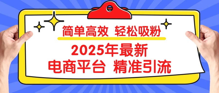 2025年最新电商平台精准引流 简单高效 轻松吸粉-零点科技