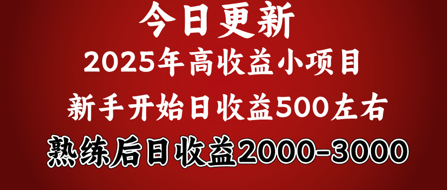好项目一眼就能看出来，日收益1000，长久可做，2025拼的就是我比你勤奋-零点科技