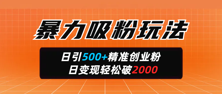 暴力吸粉玩法，日引500+精准创业粉，日变现轻松破2000-零点科技