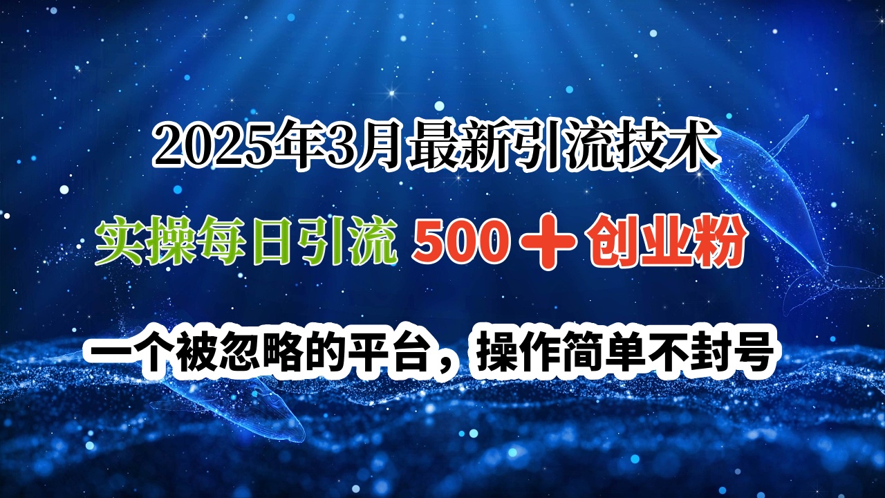 2025年3月最新引流技术，实操每日引流500➕创业粉，一个被忽略的平台，操作简单不封号-零点科技