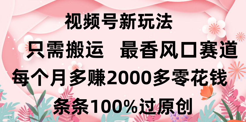 日入2000+，条条100%过原创，视频号最香风口赛道，小白轻松上手-零点科技